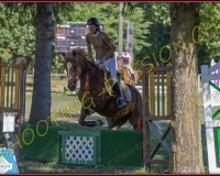 JUMP GREEN